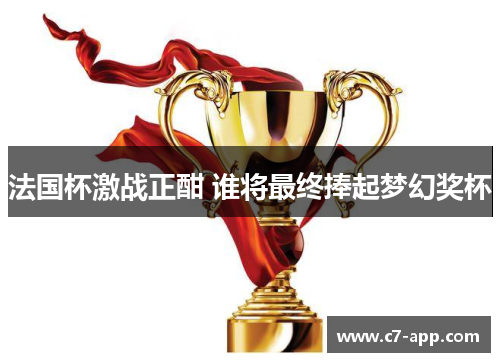 法国杯激战正酣 谁将最终捧起梦幻奖杯 法国杯激战正酣 谁将最终捧起梦幻奖杯