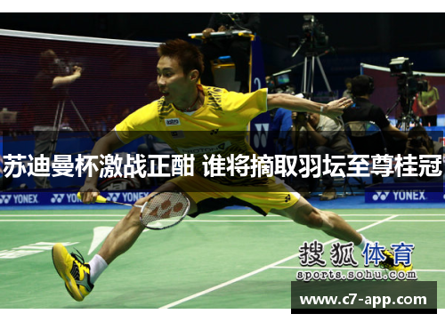 苏迪曼杯激战正酣 谁将摘取羽坛至尊桂冠 苏迪曼杯激战正酣 谁将摘取羽坛至尊桂冠