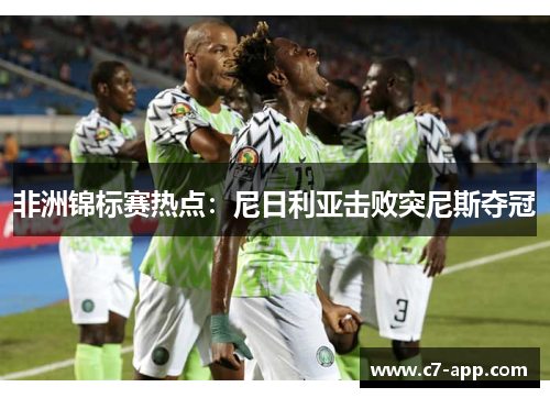 非洲锦标赛热点:尼日利亚击败突尼斯夺冠 非洲锦标赛热点:尼日利亚击败突尼斯夺冠