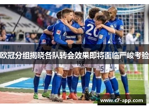 欧冠分组揭晓各队转会效果即将面临严峻考验 欧冠分组揭晓各队转会效果即将面临严峻考验